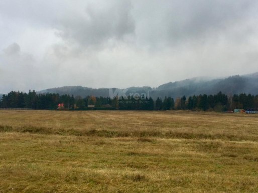 10035355_0.jpg