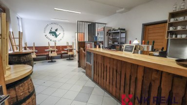 Prodej víceúčelové haly s pozemkem, Císařský ostrov, Praha 7 - Bubeneč