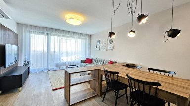 Pronájem bytu 2+kk, balkón, garážové stání, 2 sklepy, OV, cca 61m2, ul. U Borského parku, Plzeň